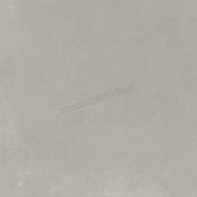  Imola Ceramica Oxyd Grey G 60x60 cm Vloertegel / Wandtegel Mat Vlak Natural OXYD 60G RM | 326521