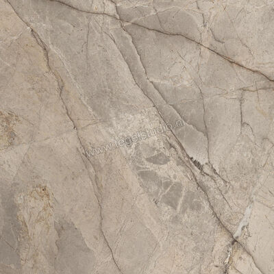  Imola Ceramica The Rock Greige 60x60 cm Vloertegel / Wandtegel Mat Vlak Natural FIBOSC 60 RM | 326740