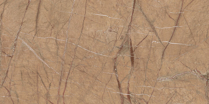  Imola Ceramica The Rock Gold 60x120 cm Vloertegel / Wandtegel Mat Vlak Natural FOGOLD 12 RM | 326779