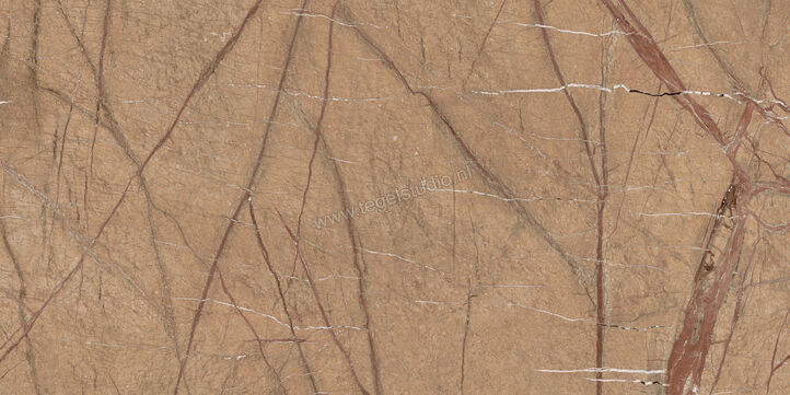  Imola Ceramica The Rock Gold 60x120 cm Vloertegel / Wandtegel Mat Vlak Natural FOGOLD 12 RM | 326788