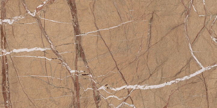  Imola Ceramica The Rock Gold 60x120 cm Vloertegel / Wandtegel Mat Vlak Natural FOGOLD 12 RM | 326791