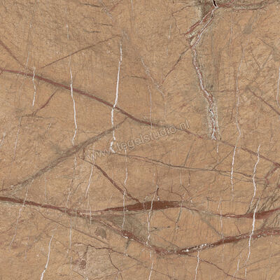  Imola Ceramica The Rock Gold 60x60 cm Vloertegel / Wandtegel Mat Vlak Natural FOGOLD 60 RM | 326794