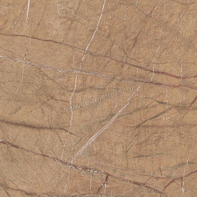  Imola Ceramica The Rock Gold 60x60 cm Vloertegel / Wandtegel Mat Vlak Natural FOGOLD 60 RM | 326797