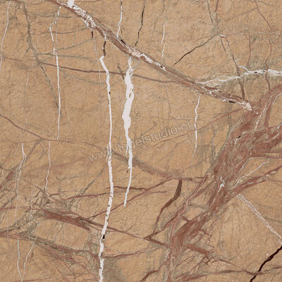  Imola Ceramica The Rock Gold 60x60 cm Vloertegel / Wandtegel Mat Vlak Natural FOGOLD 60 RM | 326800