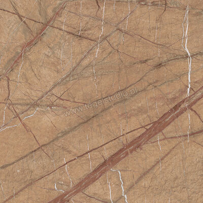 Imola Ceramica The Rock Gold 60x60 cm Vloertegel / Wandtegel Mat Vlak Natural FOGOLD 60 RM | 326806