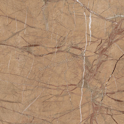  Imola Ceramica The Rock Gold 120x120 cm Vloertegel / Wandtegel 0,65 cm Mat Vlak Natural FOGOLD6 120 RM | 326860