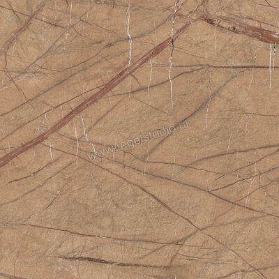  Imola Ceramica The Rock Gold 120x120 cm Vloertegel / Wandtegel 0,65 cm Mat Vlak Natural FOGOLD6 120 RM | 326863