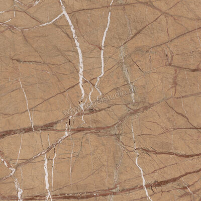  Imola Ceramica The Rock Gold 120x120 cm Vloertegel / Wandtegel 0,65 cm Mat Vlak Natural FOGOLD6 120 RM | 326866