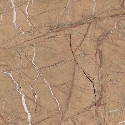  Imola Ceramica The Rock Gold 120x120 cm Vloertegel / Wandtegel 0,65 cm Mat Vlak Natural FOGOLD6 120 RM | 326869