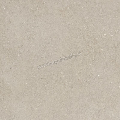  Imola Ceramica Replay Grey G 60x60 cm Vloertegel / Wandtegel Mat Vlak Natural REPLAY 60G RM | 327577