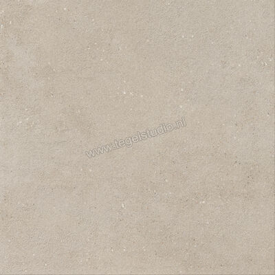  Imola Ceramica Replay Grey G 60x60 cm Vloertegel / Wandtegel Mat Vlak Natural REPLAY 60G RM | 327580