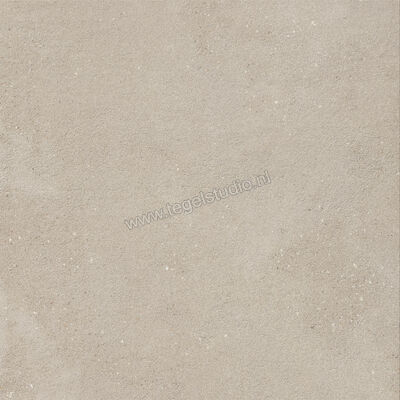  Imola Ceramica Replay Grey G 60x60 cm Vloertegel / Wandtegel Mat Vlak Natural REPLAY 60G RM | 327583