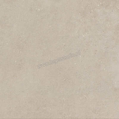  Imola Ceramica Replay Grey G 60x60 cm Vloertegel / Wandtegel Mat Vlak Natural REPLAY 60G RM | 327586