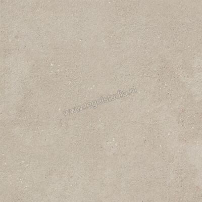  Imola Ceramica Replay Grey G 60x60 cm Vloertegel / Wandtegel Mat Vlak Natural REPLAY 60G RM | 327589