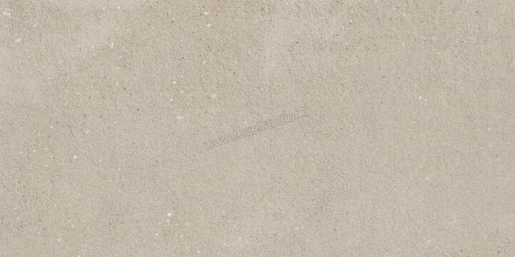  Imola Ceramica Replay Grey G 30x60 cm Vloertegel / Wandtegel Mat Vlak Natural REPLAY 36G RM | 327667