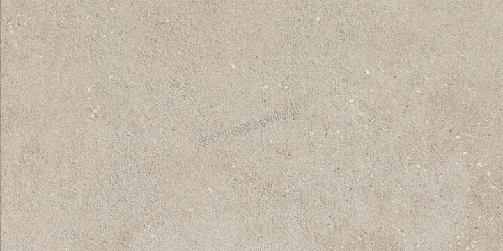  Imola Ceramica Replay Grey G 30x60 cm Vloertegel / Wandtegel Mat Vlak Natural REPLAY 36G RM | 327670