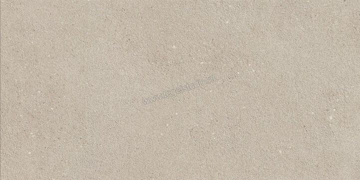  Imola Ceramica Replay Grey G 30x60 cm Vloertegel / Wandtegel Mat Vlak Natural REPLAY 36G RM | 327673