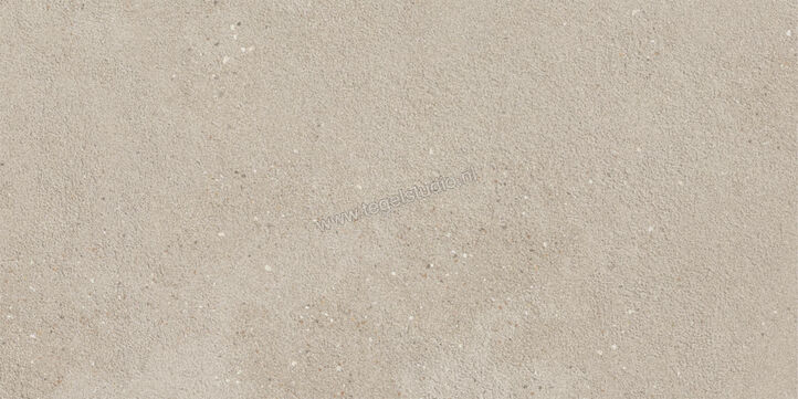  Imola Ceramica Replay Grey G 30x60 cm Vloertegel / Wandtegel Mat Vlak Natural REPLAY 36G RM | 327676