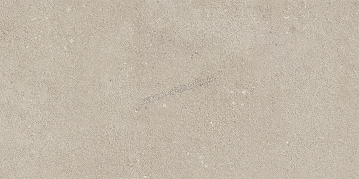  Imola Ceramica Replay Grey G 30x60 cm Vloertegel / Wandtegel Mat Vlak Natural REPLAY 36G RM | 327679