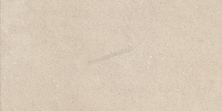  Imola Ceramica Replay Bone BN 30x60 cm Vloertegel / Wandtegel Mat Vlak Natural REPLAY 36BN RM | 327700