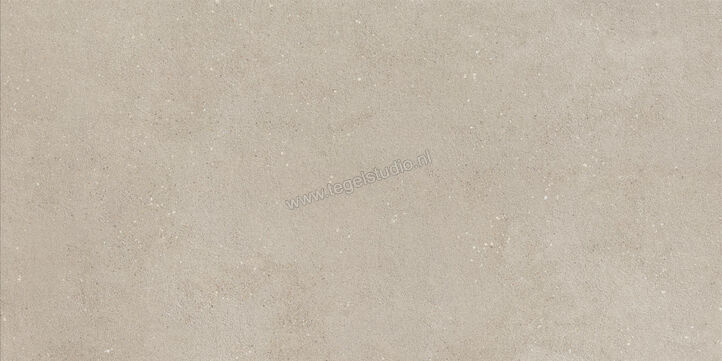  Imola Ceramica Replay Grey G 60x120 cm Vloertegel / Wandtegel Glanzend Vlak Silk REPLAY 12G SK | 327787