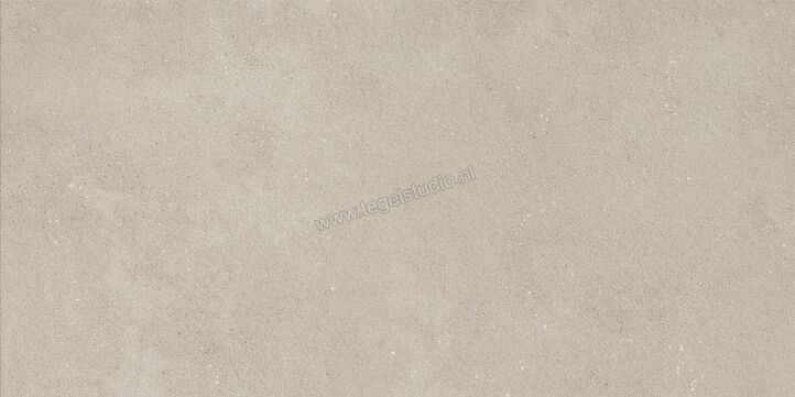  Imola Ceramica Replay Grey G 60x120 cm Vloertegel / Wandtegel Mat Vlak Natural REPLAY 12G RM | 327793