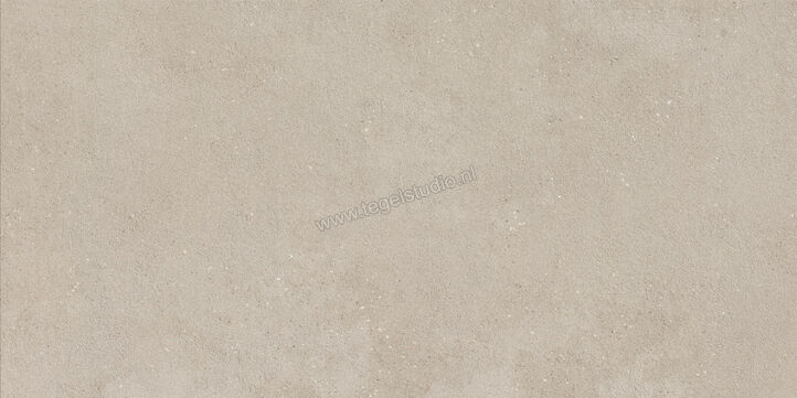  Imola Ceramica Replay Grey G 60x120 cm Vloertegel / Wandtegel Mat Vlak Natural REPLAY 12G RM | 327799