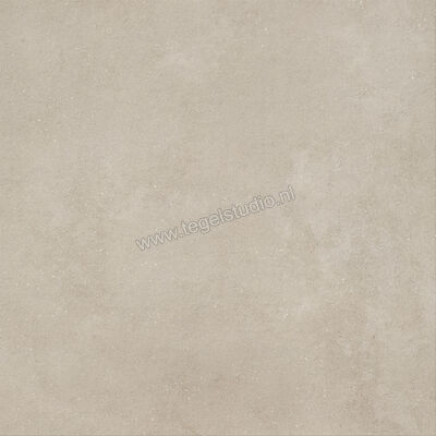  Imola Ceramica Replay Grey G 120x120 cm Vloertegel / Wandtegel Glanzend Vlak Silk REPLAY 120G SK | 327970