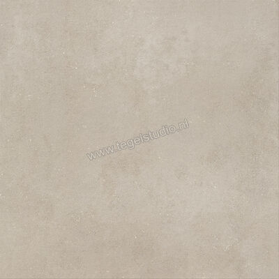  Imola Ceramica Replay Grey G 120x120 cm Vloertegel / Wandtegel Mat Vlak Natural REPLAY 120G RM | 327973