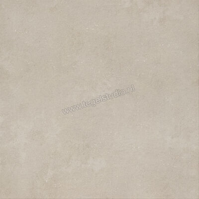  Imola Ceramica Replay Grey G 120x120 cm Vloertegel / Wandtegel Mat Vlak Natural REPLAY 120G RM | 327976