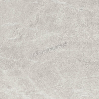 Imola Ceramica Blue Savoy White W 60x60 cm Vloertegel / Wandtegel Mat Gestructureerd Natural BLSV 60W RM | 329341
