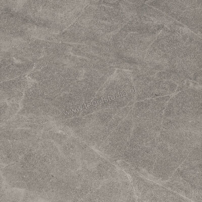  Imola Ceramica Blue Savoy Grey G 60x60 cm Vloertegel / Wandtegel Mat Gestructureerd Natural BLSV 60G RM | 329347