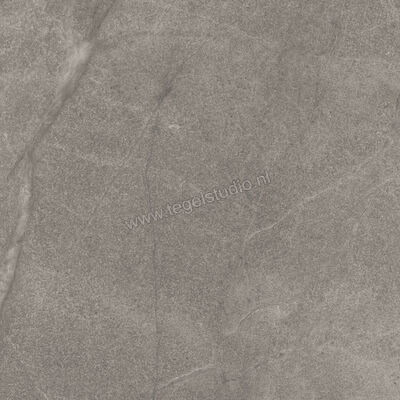  Imola Ceramica Blue Savoy Grey G 60x60 cm Vloertegel / Wandtegel Mat Gestructureerd Natural BLSV 60G RM | 329350
