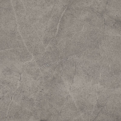  Imola Ceramica Blue Savoy Grey G 60x60 cm Vloertegel / Wandtegel Mat Gestructureerd Natural BLSV 60G RM | 329353