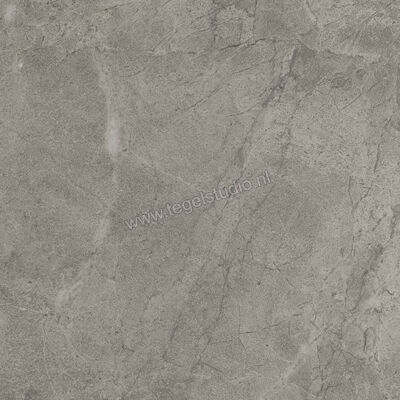  Imola Ceramica Blue Savoy Grey G 60x60 cm Vloertegel / Wandtegel Mat Gestructureerd Natural BLSV 60G RM | 329356