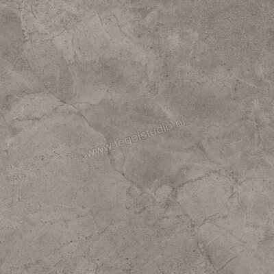  Imola Ceramica Blue Savoy Grey G 60x60 cm Vloertegel / Wandtegel Mat Gestructureerd Natural BLSV 60G RM | 329359