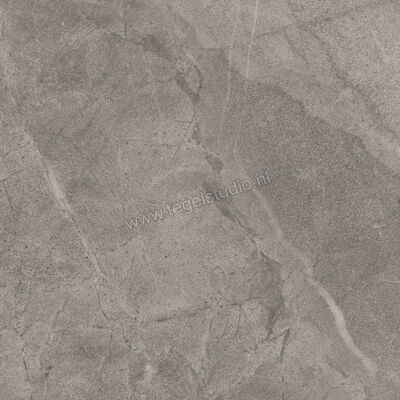  Imola Ceramica Blue Savoy Grey G 60x60 cm Vloertegel / Wandtegel Mat Gestructureerd Natural BLSV 60G RM | 329362