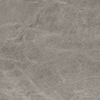  Imola Ceramica Blue Savoy Grey G 60x60 cm Vloertegel / Wandtegel Mat Gestructureerd Natural BLSV 60G RM | 329365