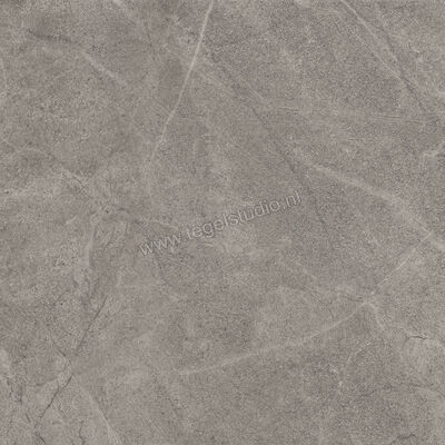  Imola Ceramica Blue Savoy Grey G 60x60 cm Vloertegel / Wandtegel Mat Gestructureerd Natural BLSV 60G RM | 329368