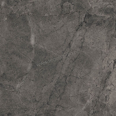  Imola Ceramica Blue Savoy Dark Grey DG 60x60 cm Vloertegel / Wandtegel Mat Gestructureerd Natural BLSV 60DG RM | 329380