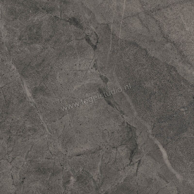 Imola Ceramica Blue Savoy Dark Grey DG 60x60 cm Vloertegel / Wandtegel Mat Gestructureerd Natural BLSV 60DG RM | 329386