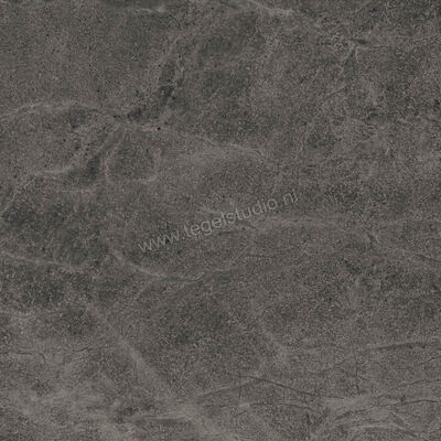  Imola Ceramica Blue Savoy Dark Grey DG 60x60 cm Vloertegel / Wandtegel Mat Gestructureerd Natural BLSV 60DG RM | 329389