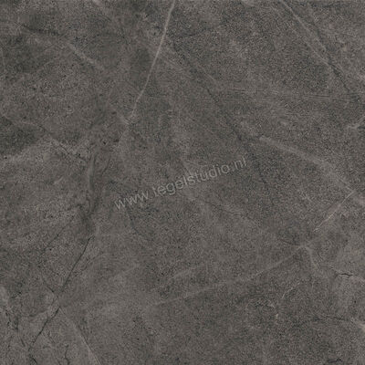  Imola Ceramica Blue Savoy Dark Grey DG 60x60 cm Vloertegel / Wandtegel Mat Gestructureerd Natural BLSV 60DG RM | 329392