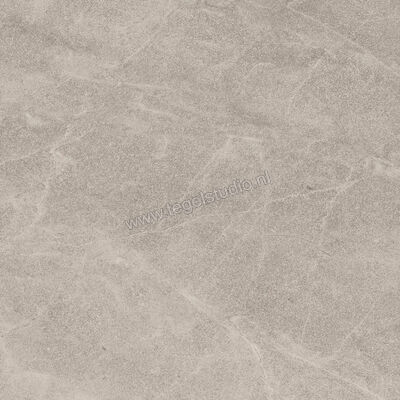  Imola Ceramica Blue Savoy Beige B 60x60 cm Vloertegel / Wandtegel Mat Gestructureerd Natural BLSV 60B RM | 329395