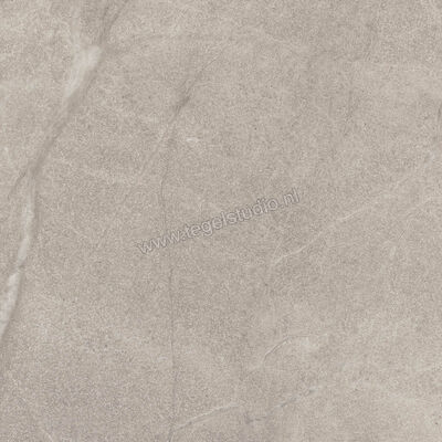  Imola Ceramica Blue Savoy Beige B 60x60 cm Vloertegel / Wandtegel Mat Gestructureerd Natural BLSV 60B RM | 329398