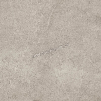  Imola Ceramica Blue Savoy Beige B 60x60 cm Vloertegel / Wandtegel Mat Gestructureerd Natural BLSV 60B RM | 329401