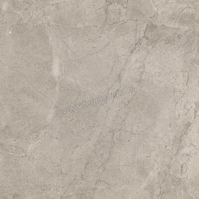  Imola Ceramica Blue Savoy Beige B 60x60 cm Vloertegel / Wandtegel Mat Gestructureerd Natural BLSV 60B RM | 329404