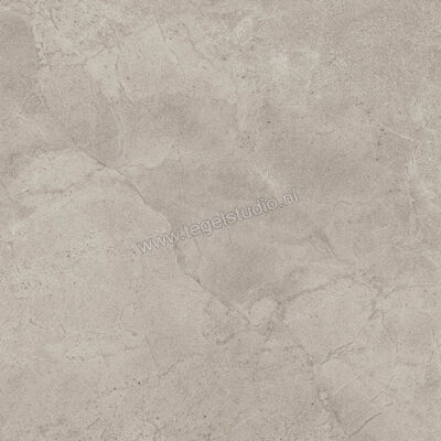  Imola Ceramica Blue Savoy Beige B 60x60 cm Vloertegel / Wandtegel Mat Gestructureerd Natural BLSV 60B RM | 329407