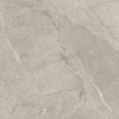  Imola Ceramica Blue Savoy Beige B 60x60 cm Vloertegel / Wandtegel Mat Gestructureerd Natural BLSV 60B RM | 329410