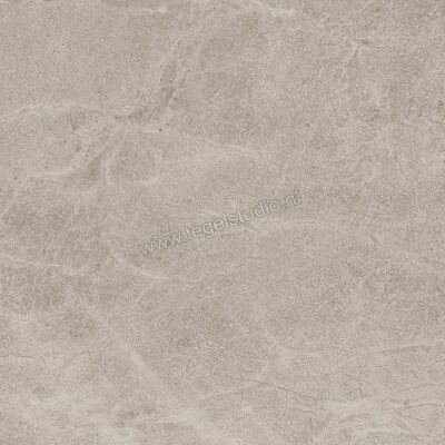  Imola Ceramica Blue Savoy Beige B 60x60 cm Vloertegel / Wandtegel Mat Gestructureerd Natural BLSV 60B RM | 329413